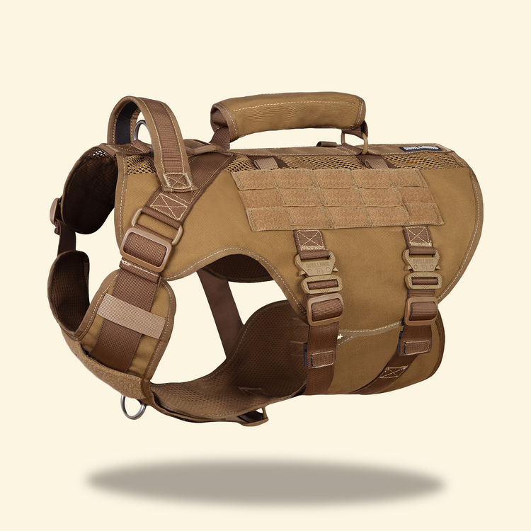 Bright orange service dog harness