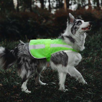 Outdoor Blaze High Visibility Reflective Hunting Dog Vest Safty Ring Bell