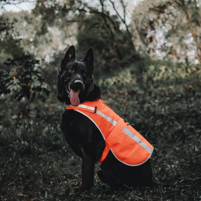 Outdoor Blaze High Visibility Reflective Hunting Dog Vest Safty Ring Bell