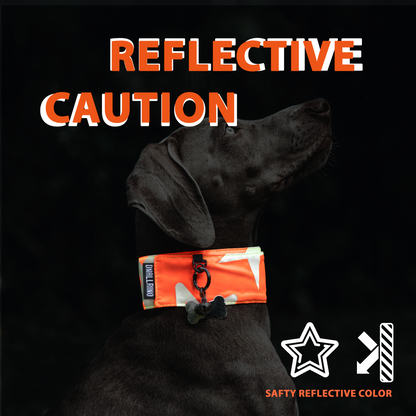 Reflective High Visibility Hunting&Night Dog Collar-Double Sided Star Reflective Pattern