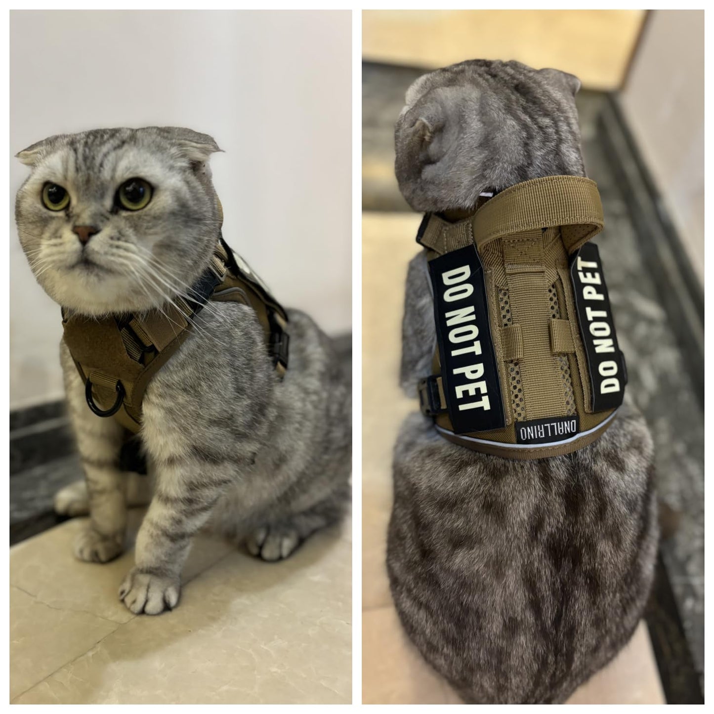 Do-Not-Pet Air-Mesh Flexible Dog and Cat  No-Pull Harness