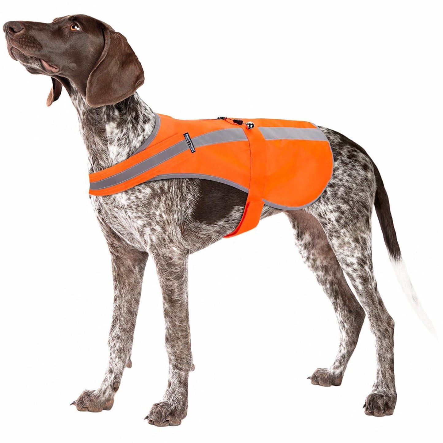 Ring Bell Blaze Orange High Visibility Dog Vest