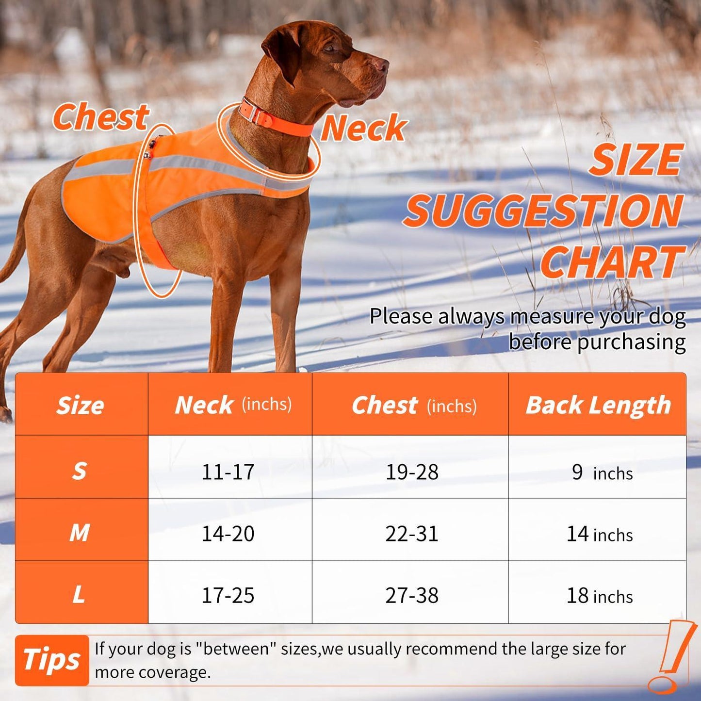 Ring Bell Blaze Orange High Visibility Dog Vest