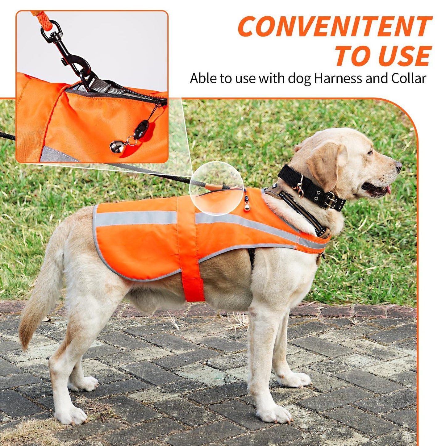 Ring Bell Blaze Orange High Visibility Dog Vest